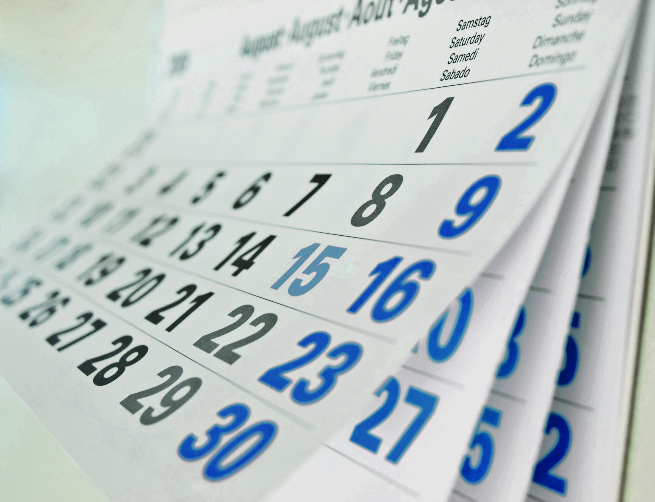 Kalenderblatt August (blau eingefärbt) Image